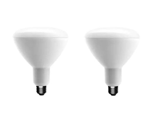 Photo 1 of EcoSmart
75-Watt Equivalent BR40 Dimmable Energy Star LED Light Bulb Daylight (2-Pack)