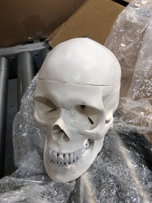 Photo 1 of **PARTS ONLY** Axis Scientific Human Skeleton Model Anatomy Bundle, 5' 6" Life Size Skeletal System, 206 Bones, Interactive Medical Replica Study Guide, Adjustable Rolling Stand, and Dust Cover
