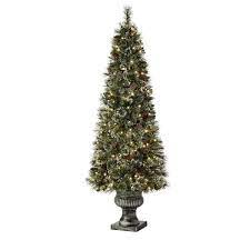 Photo 1 of 6.5 ft Sparkling Amelia Pine Potted Pre-Lit Artificial Christmas Tree with 200 White Mini Lights