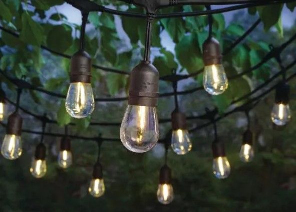 Photo 1 of 24-Light Indoor/Outdoor 48 ft. String Light with S14 Single Filament LED Bulbs
