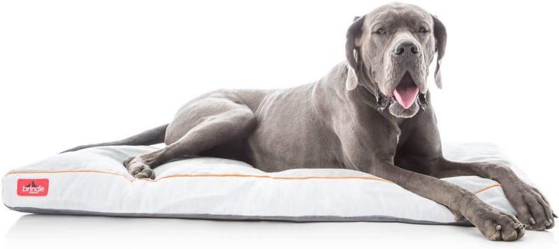 Photo 1 of Brindle Soft Orthopedic Pillow Cat & Dog Bed w/Removable Cover, Stone, 52 x 34 in