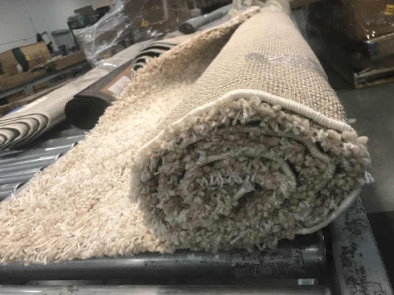 Photo 1 of area rug 4' x 6'