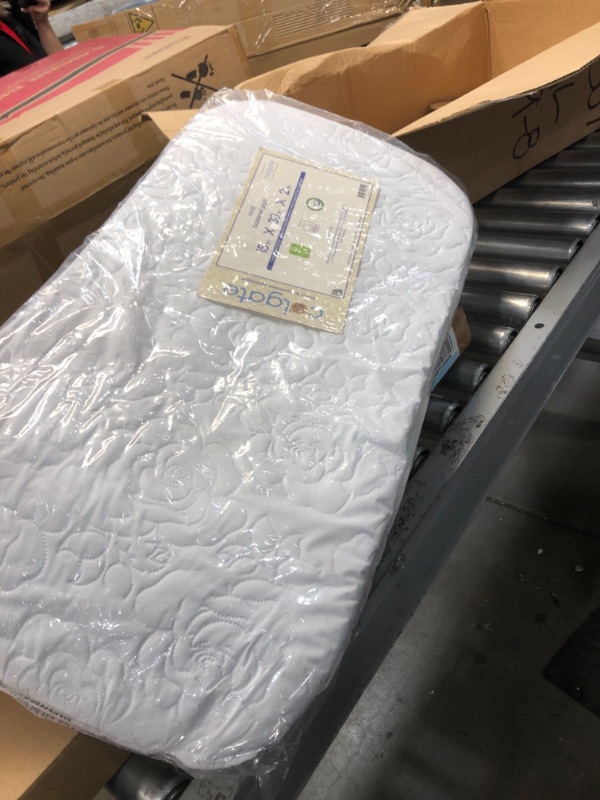 Photo 2 of Colgate Mattress FPO15302 15" x 30" x 2" Bassinet Oval Mattress