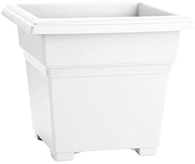 Photo 1 of 
Novelty 26182 Countryside Square, White, 18-Inch Tub Planter