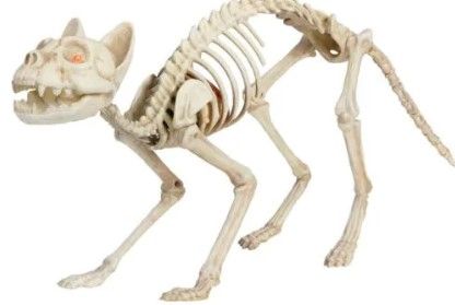 Photo 1 of 24 in. Grave and Bones Animated LED Skeleton Cat