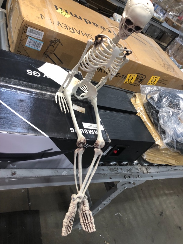 Photo 2 of 36" Posable Skeleton Halloween Decorative Mannequin - Hyde & EEK! Boutique™
