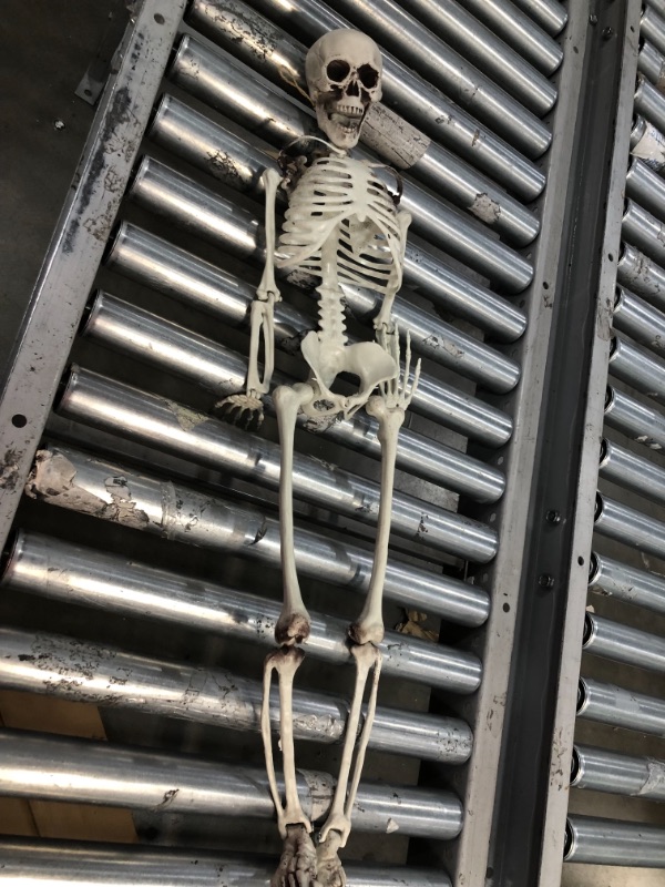 Photo 3 of 36" Posable Skeleton Halloween Decorative Mannequin - Hyde & EEK! Boutique™
