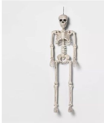 Photo 1 of 36" Posable Skeleton Halloween Decorative Mannequin - Hyde & EEK! Boutique™
