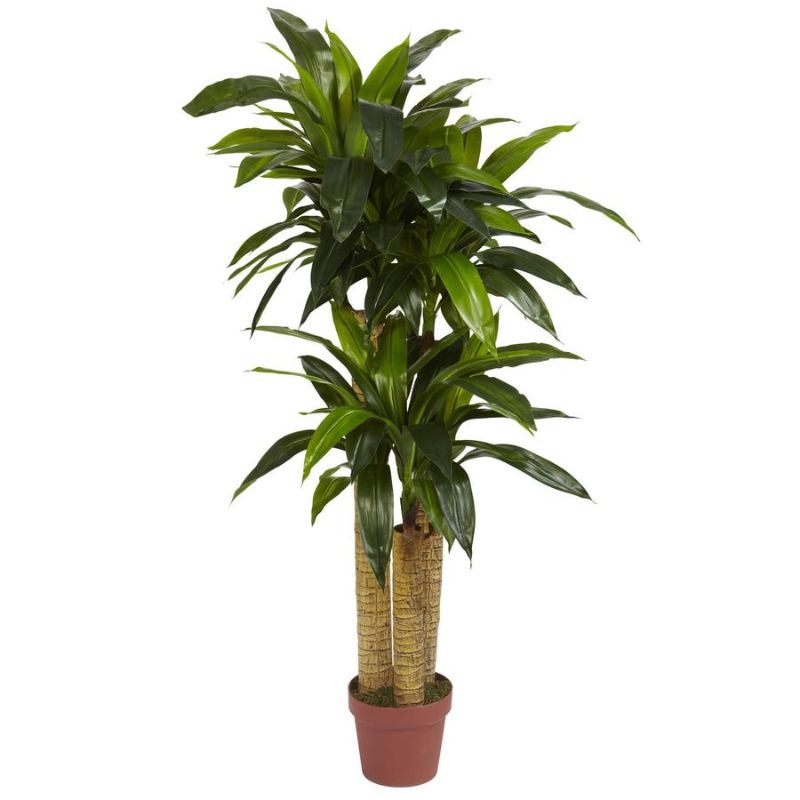 Photo 1 of 4' Corn Stalk Dracaena Silk Plant (Real Touch)
