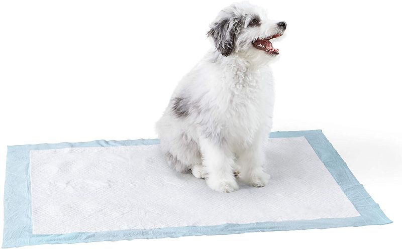 Photo 1 of Amazon Basics Dog and Puppy Pads, Heavy Duty Absorbency Pee Pads with Leak-proof Design and Quick-dry Surface for Potty Training, X-Large (28 x 34 Inches) - Pack of 50
