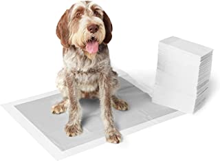 Photo 1 of Amazon Basics Dog and Puppy Pads, Leak-proof 5-Layer Pee Pads with Quick-dry Surface for Potty Training
