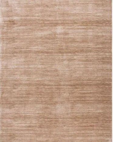 Photo 1 of  Light Brown 8 ft. x 10 ft. Solid Area Rug