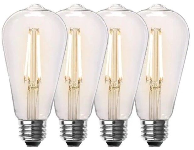 Photo 1 of 60-Watt Equivalent ST19 Dimmable Straight Filament Clear Glass Vintage Edison LED Light Bulb, Soft White (4-Pack)
