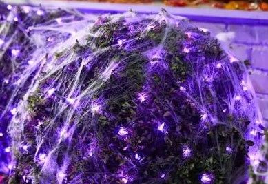 Photo 1 of 4 ft. x 6 ft. 300 Purple Mini LED Net Lights
