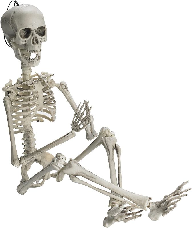 Photo 1 of  Posable Halloween Skeleton- Full Body Halloween Skeleton with Movable /Posable Joints 
