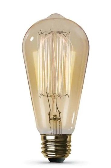 Photo 1 of 60-Watt ST19 Dimmable Cage Filament Amber Glass E26 Incandescent Vintage Edison Light Bulb, Warm White 6 - pack
