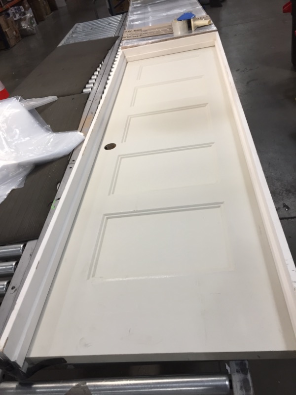 Photo 1 of 24x80 white door