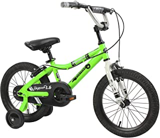 Photo 1 of Duzy Customs Skyquest Kids Bike Boys and Girls 16 Inch Wheels in Green with Dual Handbrakes, Quick Assemble Training Wheels, and Fold Out Pedals
