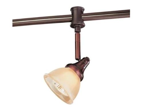Photo 1 of 120-Volt Antique Bronze Flexible Track Head with Glass Shade
