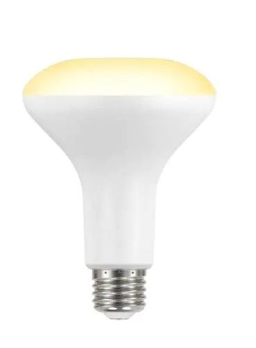 Photo 1 of 90-Watt Equivalent BR30 Dimmable ENERGY STAR LED Light Bulb in Bright White (2-Pack)
(2 BOXES, 4 LIGHT BULBS) 