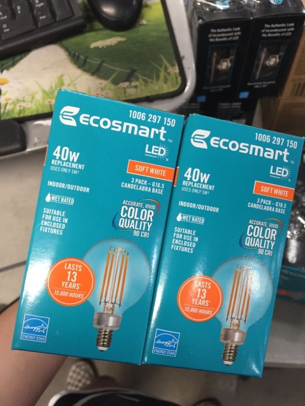 Photo 2 of 60-Watt Equivalent G16.5 Medium Dimmable Filament ENERGY STAR Clear Glass LED Light Bulb, Soft White (3-Pack)
(2 BOXES, 6 LIGHT BULBS)