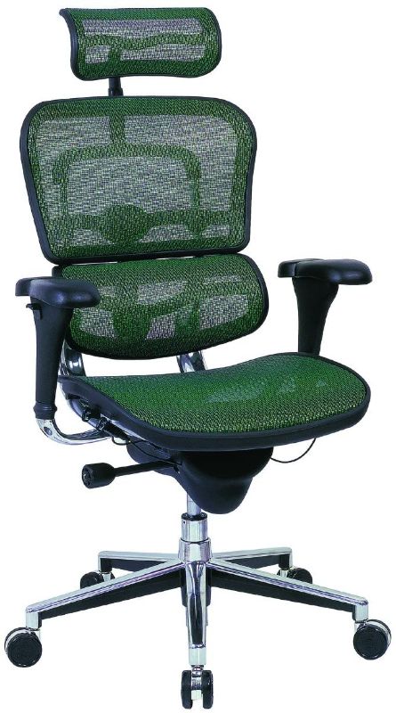 Photo 1 of Ergohuman Me7erg - Ergohuman Executive Chair with Headrest in Green - Ships in 24 Hours with a!
