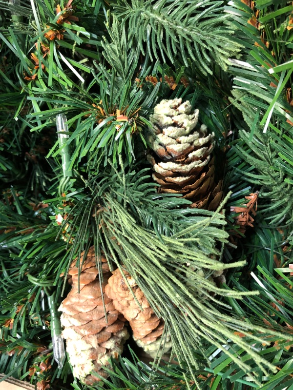 Photo 1 of National Tree Company Pre-Lit Artificial Christmas Garland, Green, Carolina Pine, White Lights, Decorated with Pine Cones, Battery Operated, Christmas...
