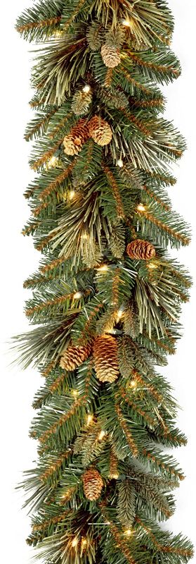 Photo 1 of National Tree Company Pre-Lit Artificial Christmas Garland, Green, Carolina Pine, White Lights, Decorated with Pine Cones, Battery Operated, Christmas...
