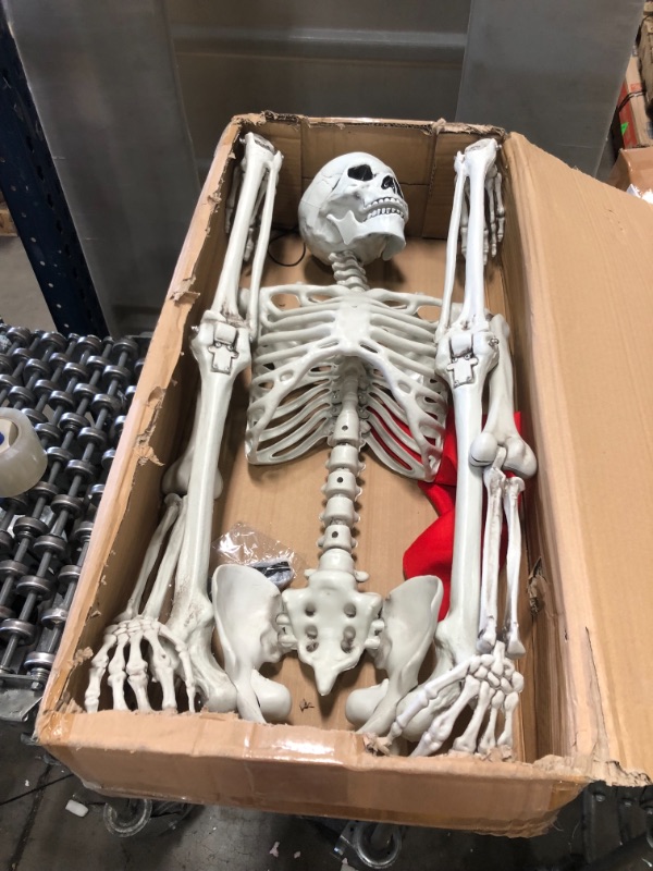 Photo 2 of 5 ft Pose-N-Stay Life Size Skeleton Full Body Realistic Human Bones with Posable Joints for Halloween Pose Skeleton Prop Decoration
