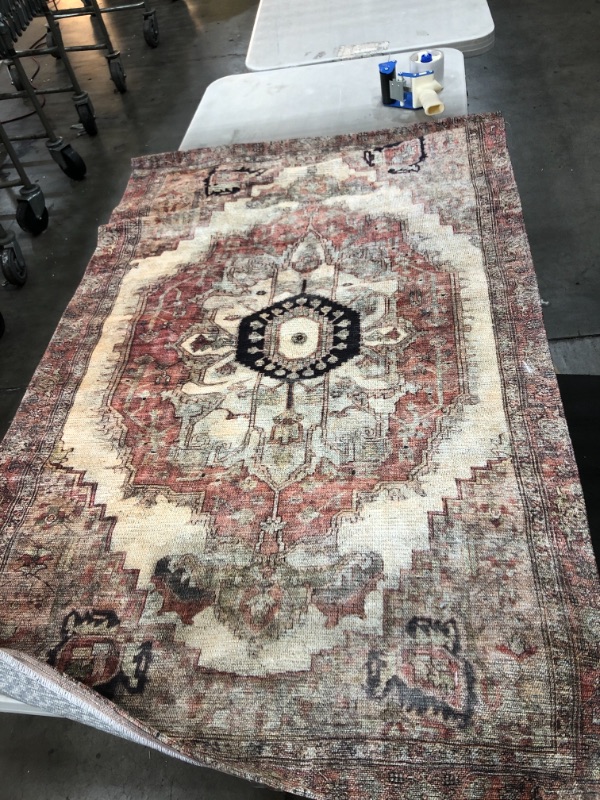 Photo 1 of Multi Iris Medallion Flatweave 4' x 6' Area Rug
