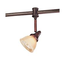 Photo 1 of 120-Volt Antique Bronze Flexible Track Head with Glass Shade
