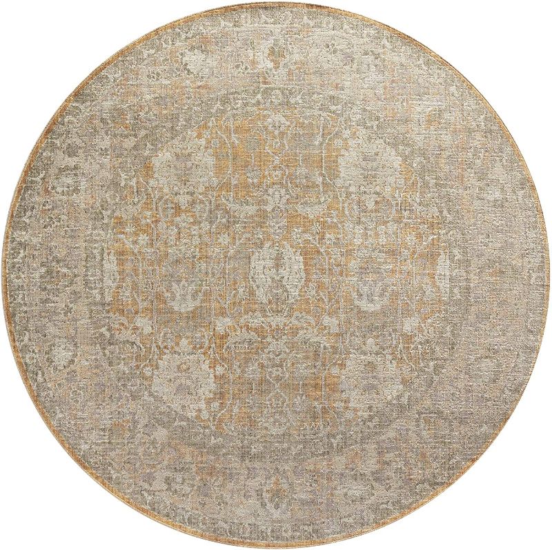 Photo 1 of Chris Loves Julia x Loloi Rosemarie ROE-01 Gold / Sand Oriental Area Rug 7'-9" x 7'-9" Round
