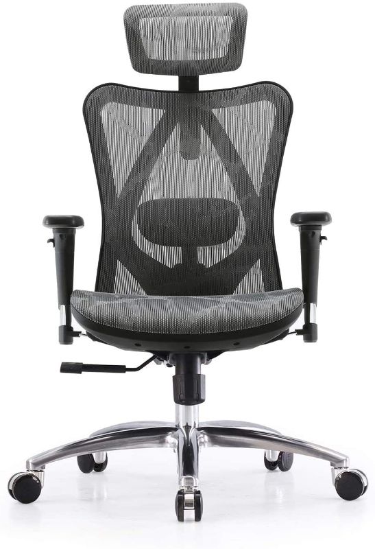 Photo 1 of SIHOO Ergonomic Adjustable Office Chair with 3D Arm Rests and Lumbar Support - High Back with Breathable Mesh - Mesh Seat Cushion - Adjustable Head & Reclines Grey
