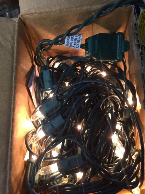 Photo 3 of *2 Pack*
Home Accents Holiday 150 Mini Incandescent Clear Net Lights