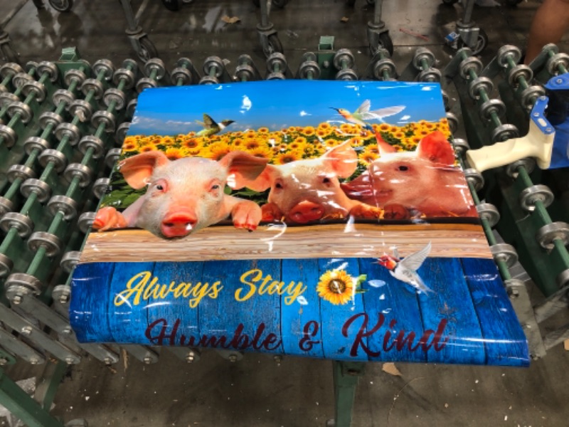 Photo 1 of "always stay humble and kind" pig picture magnet