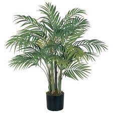 Photo 1 of 4 ft. Areca Silk Palm Tree
