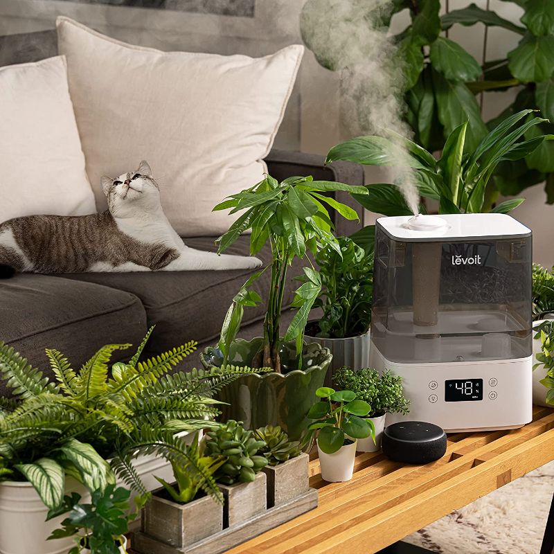 Photo 1 of LEVOIT Humidifiers for Bedroom Large Room Home, Smart Wifi Alexa Control, 6L Top Fill Cool Mist for Baby and Plants, Ultrasonic, Essential Oil Diffuser, Customized Humidity, Night Light, Quiet, Gray
