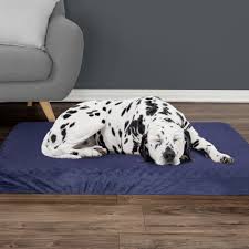 Photo 1 of **NO MATCHING STOCK PHOTO**
30x43 blue foam pet bed