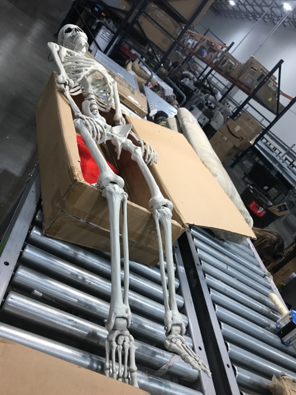 Photo 1 of 5 ft Pose-N-Stay Life Size Skeleton Full Body Realistic Human Bones with Posable Joints for Halloween Pose Skeleton Prop Decoration
***!!!NEW!!!***