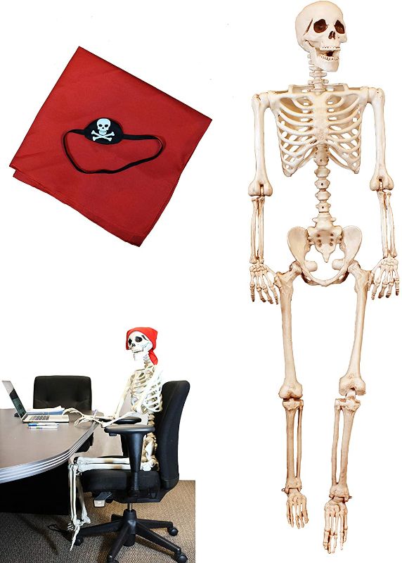 Photo 1 of 5 ft Pose-N-Stay Life Size Skeleton Full Body Realistic Human Bones with Posable Joints for Halloween Pose Skeleton Prop Decoration
***!!!NEW!!!***