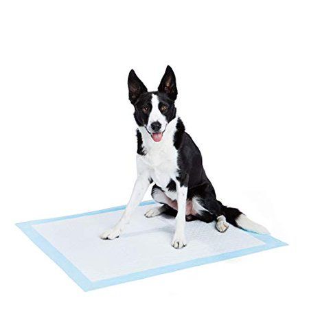 Photo 1 of Amazon Basics Dog and Puppy Pads, Leak-proof 5-Layer Pee Pads with Quick-dry Surface for Potty Training
Amazon: B07CWHWCJZ