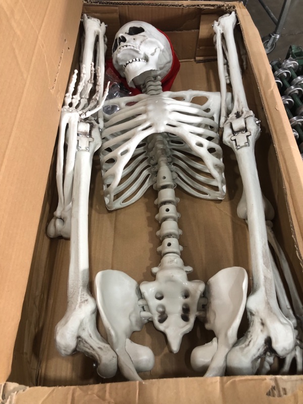 Photo 2 of 5 ft Pose-N-Stay Life Size Skeleton Full Body Realistic Human Bones with Posable Joints for Halloween Pose Skeleton Prop Decoration
