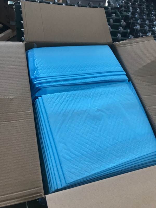 Photo 1 of X Marks the Spot Puppy Pads 22"X22" 100/Pkg-
