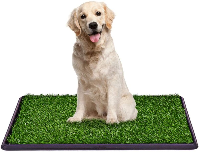 Photo 1 of Dog Grass Large Potty Patch (35"X23.2 inches "), Artificial Dog Grass Bathroom Turf for Pet Training, Washable Puppy Pee Pad, Perfect Indoor/Outdoor Portable Potty Pet Loo
