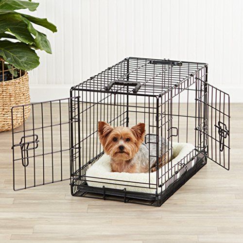 Photo 1 of AmazonBasics Double-Door Folding Metal Dog Crate - 22 Inches
