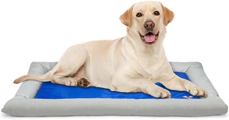 Photo 1 of Arf Pets Dog Self Cooling Bed Pet Bed – Solid Gel Based Self Cooling Mat for Pets, Includes a Foam Based Bolster Bed for Extra Comfort 26 X 40IN
