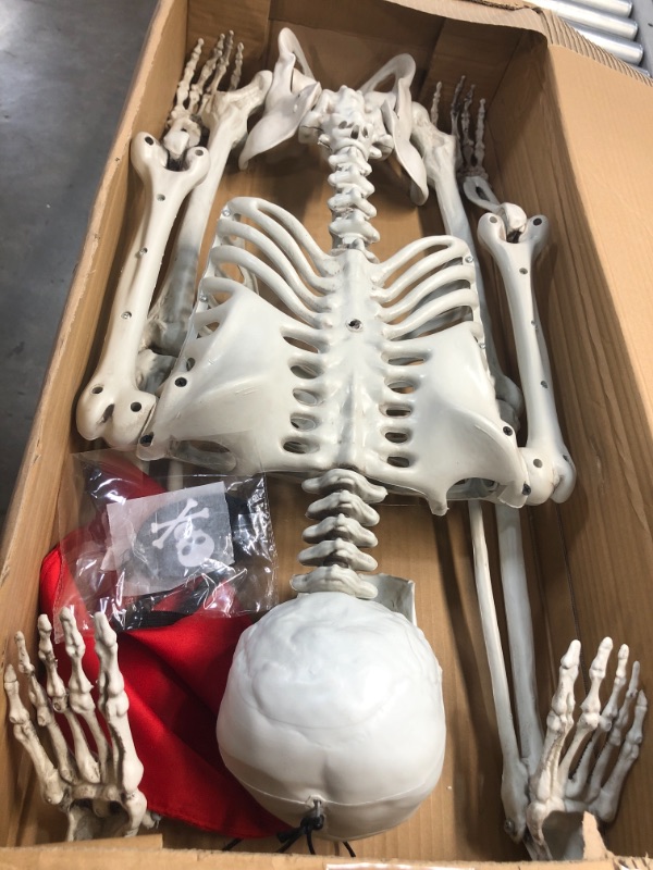 Photo 2 of 5 ft Pose-N-Stay Life Size Skeleton Full Body Realistic Human Bones with Posable Joints for Halloween Pose Skeleton Prop Decoration
