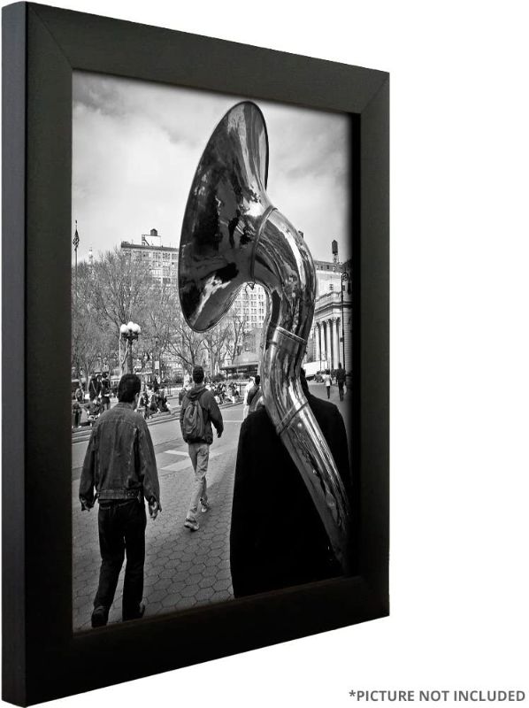 Photo 1 of 2 Craig Frames Contemporary Picture Frame, 14 x 18 Inch, Black