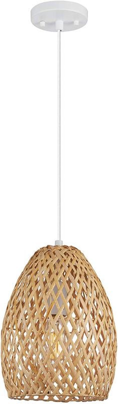 Photo 1 of Globe Electric 61090 Rio Pendant, Light Twine
