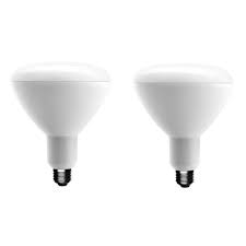 Photo 1 of 90-Watt Equivalent BR40 Dimmable ENERGY STAR LED Light Bulb Daylight 5000K ( 4 Pack)
